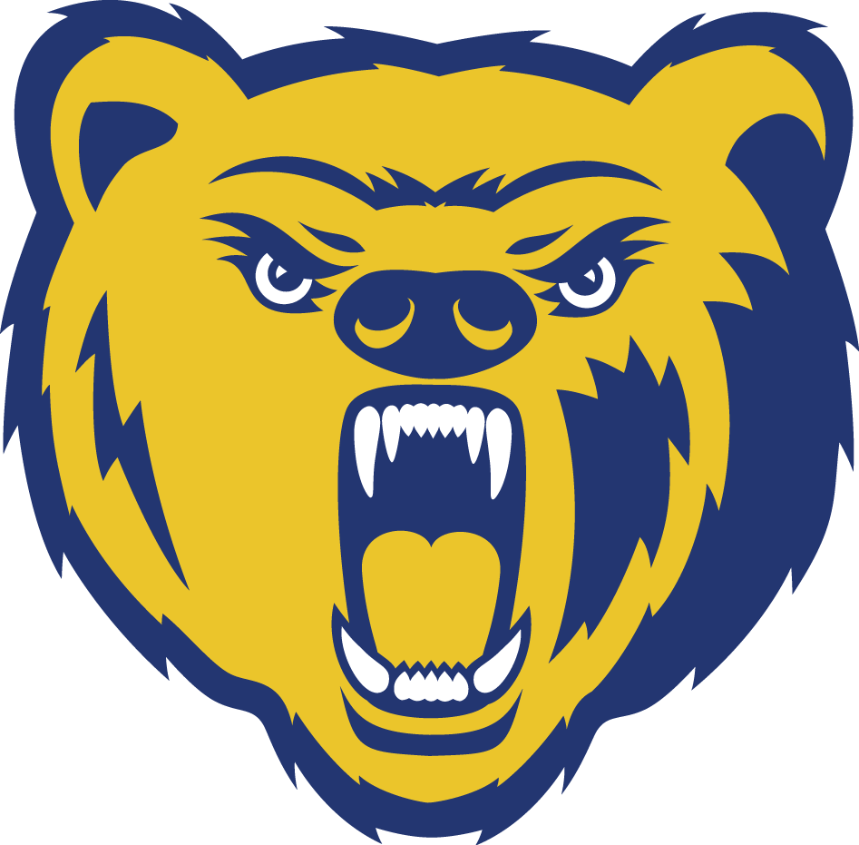 Northern Colorado Bears 2004-2009 Secondary Logo iron on transfers for fabric
